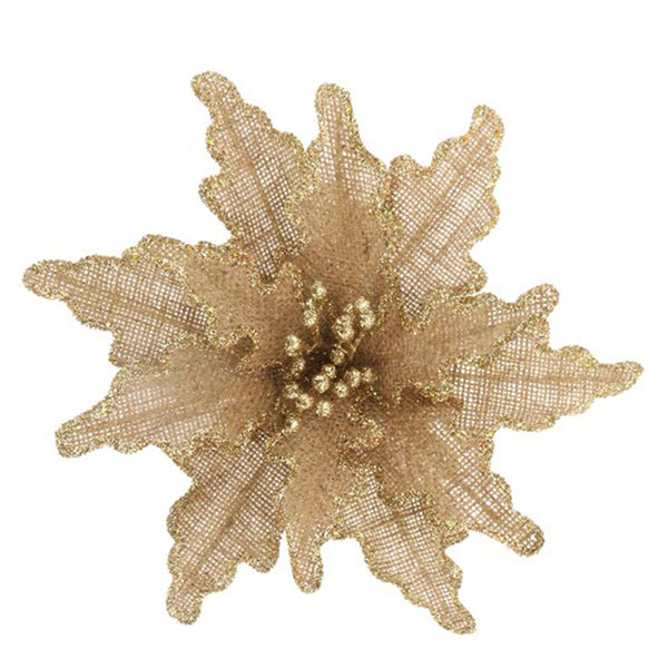 Clip on Poinsettia - Natural