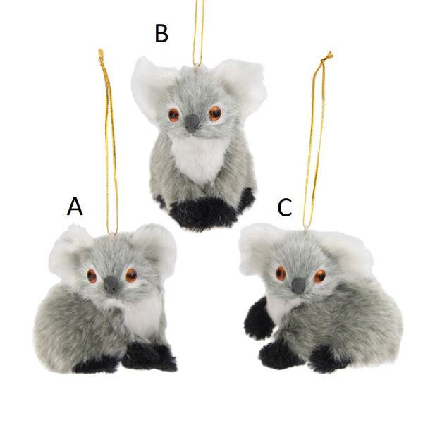 Koala HO