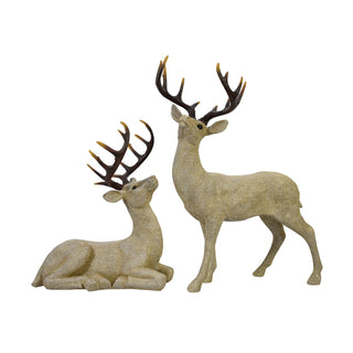 Deer with antlers