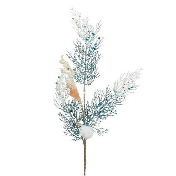 Shell Spray Coral