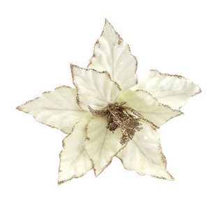 Velvet Cream Poinsettia